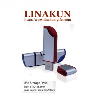Plastic USB Storage Drive (LPUFD-003)