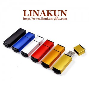 Promotional Plastic USB Flash Drive (LPUFD-004)
