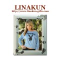 Elegant Metal Picture/Photo Frame for Promotional Products (LMPF-022)