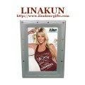 Decorative Metal Picture/Photo Frames for Promotional Gifts (LMPF-024)