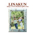 Beautiful Metal Photo Frame for Birthday Gifts (LMPF-026)