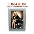 Stylish Metal Photo/Picture Frame for Home Decoration (LMPF-046)